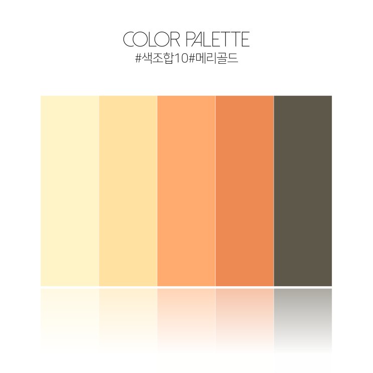  [PPT색조합#10] 메리골드 주황색 골드 색조합