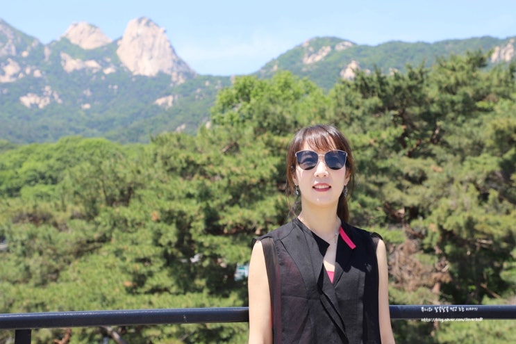  여자선글라스 가성비 좋은 바넬 패션선글라스 강추