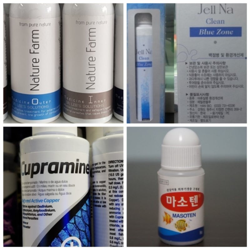 물고기 질병의 원인과 치료방법 : 네이버 블로그 물고기 질병의 원인과 치료방법 : 네이버 블로그