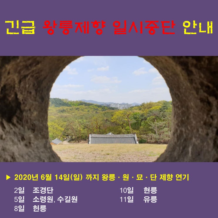  6월 왕릉제향 일시중단 긴급안내!!