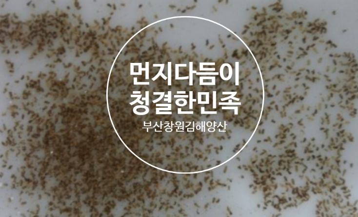  먼지다듬이(먼다)의 생태와 방제 방법