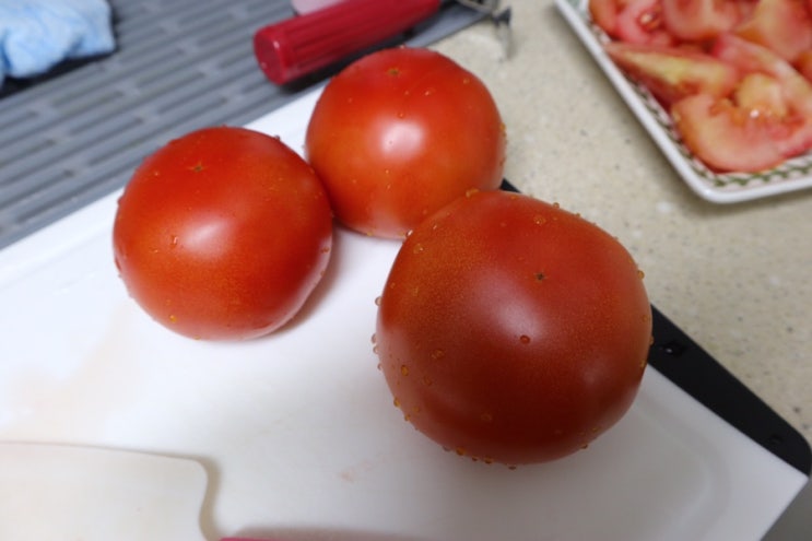  단마토 토망고 전별로.../꼬마 비만견되다../미국코로나 생중계/쇼핑목록 등 일상 ㅋ