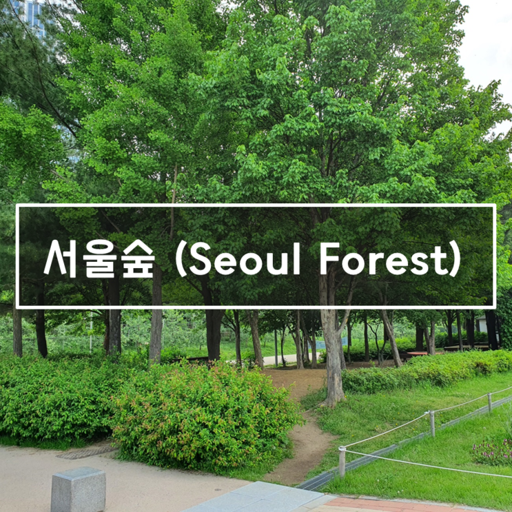 주말에 다녀온 서울숲 데이트, 가기 전 꼭 알아야할 꿀팁 공유!