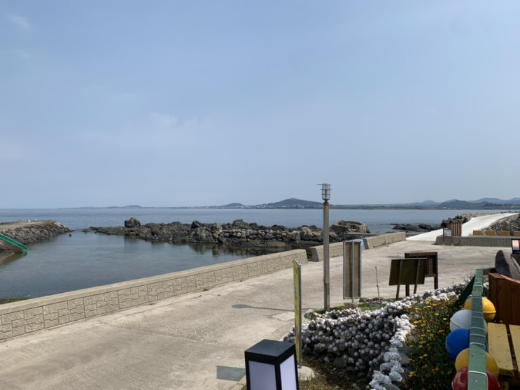  날씨가 좋아요! 가파도 청보리아이스크림 상동 편의점이에요!!!