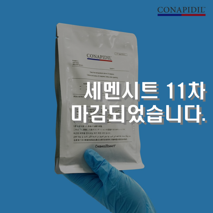  [특별기획] 나만의 피부주치의 11차마감
