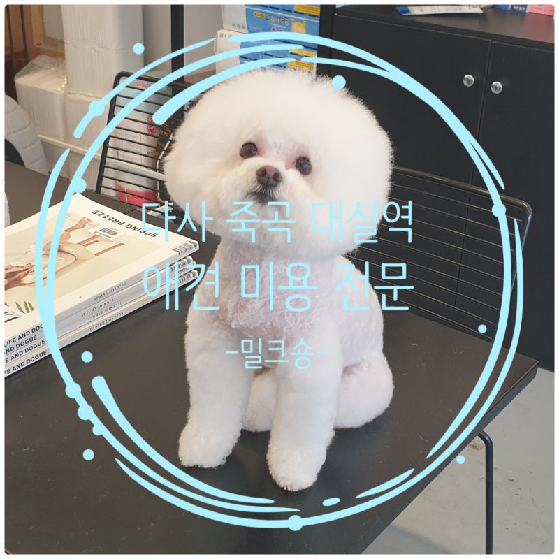 사진 2