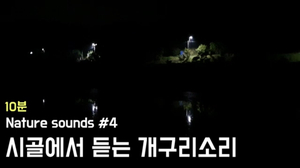 Nature Sounds #4. 시골에서 듣는 개구리소리 | 수면, 안정, 공부, 명상 | 10분