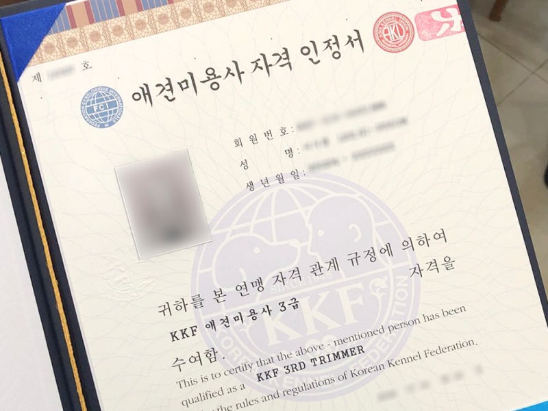 애견관리사 후기! 개 관리사 애완동물 관리사 자격증을 취득하다