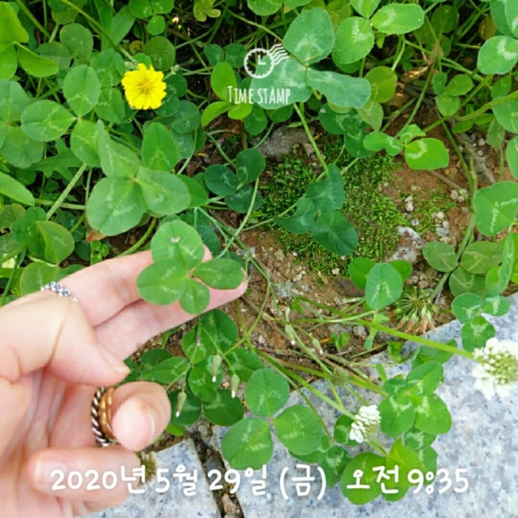 [감사 일기-118] 2020. 5. 29.(금)