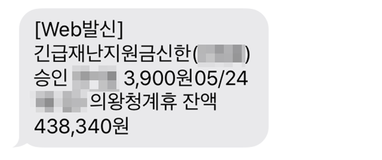  국가 긴급재난지원금, 경기도 재난지원금과는 조금 다른 사용처