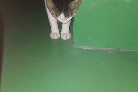 (주)이안서비스 이미지