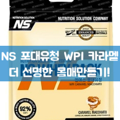  NS 포대유청 카라멜 WPI