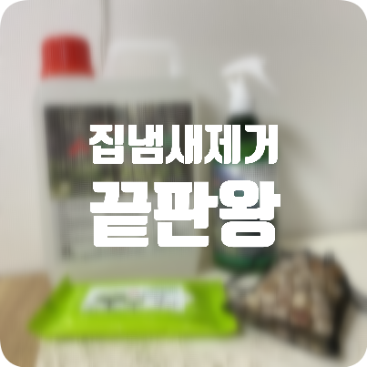  집냄새제거에는 피톤치드원액 스프레이! 편백수 추천