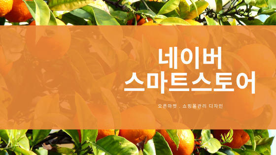 오픈마켓 온라인쇼핑몰디자인 창업 및 운영학원 일산더조은