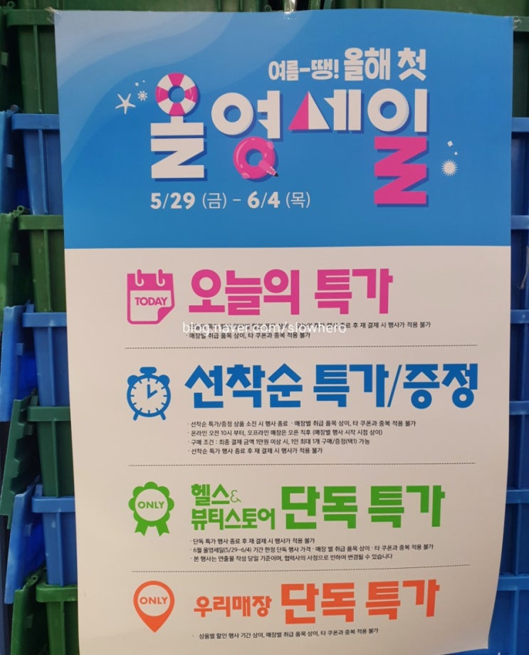  여름땡 올해 첫 올영세일 방문후기 (5월29일 금- 6월 4일 목)