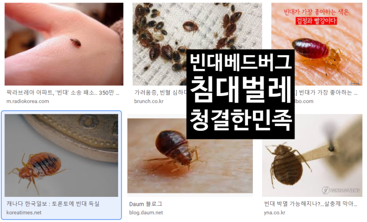  호텔에 빈대(베드버그)가 웬말!!-배상판결 600만원