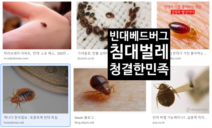 호텔에 빈대(베드버그)가 웬말!!-배상판결 600만원