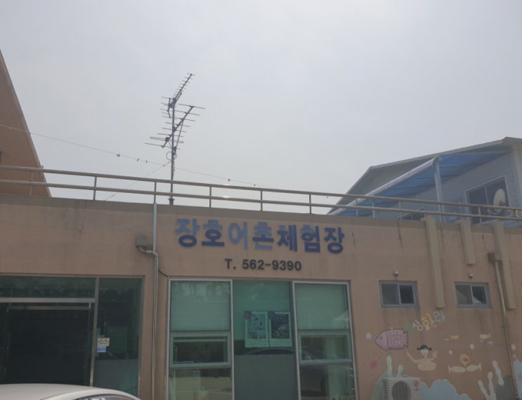  고창 갯벌체험 장호어촌 체험마을 정말 좋네요
