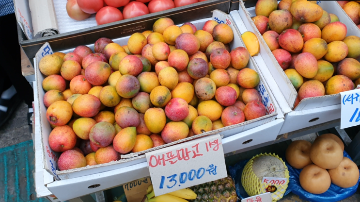  제주시민속오일시장 : 2일 7일 기억해!