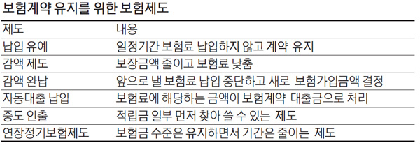 코로나 대응 `슬기로운 보험생활` 코로나 대응 `슬기로운 보험생활`