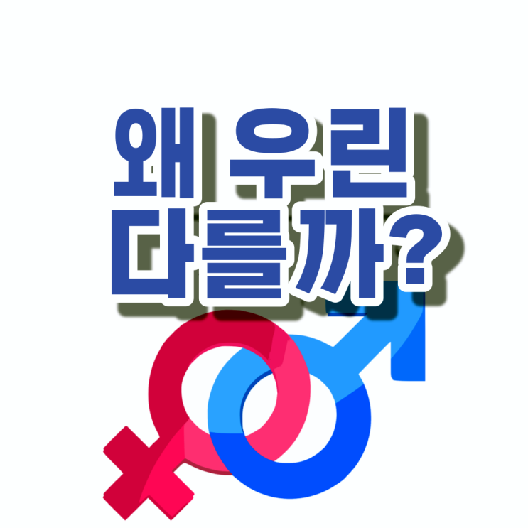  남자와 여자의 대화 차이 - 우리가 다투는 비밀