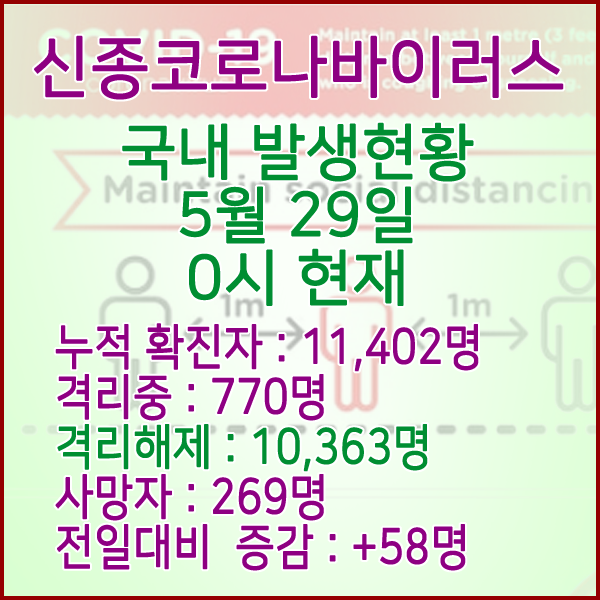  코로나19(코로나바이러스) 5월 29일 0시 국내 발병 11,402명 / 10,363명 완치 격리해제 / 사망자 269명