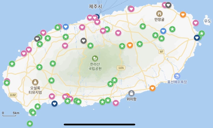  제주 커밍순.