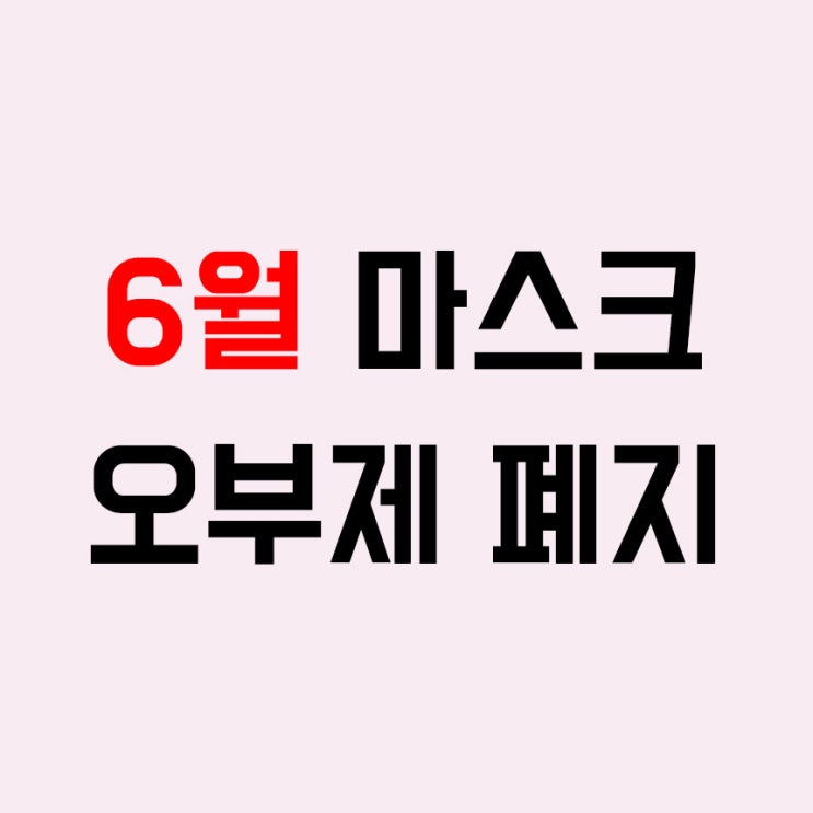 6월 정부 공적 마스크 오부제 폐지