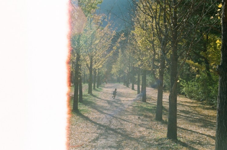  그냥 오늘 밤,