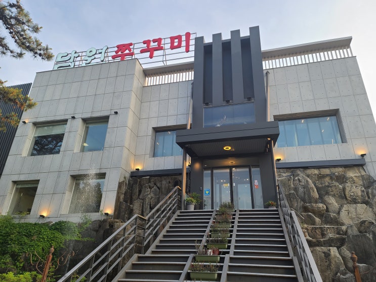  광명담원쭈꾸미직화세트고르곤졸라피자