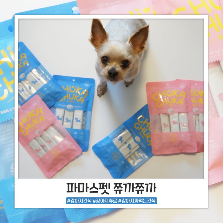 강아지간식 츄르 파마스펫 쮸까쮸까 기호성 좋아요 강아지간식 츄르 파마스펫 쮸까쮸까 기호성 좋아요