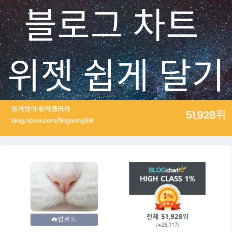  블로그차트 순위 위젯 간단하게 등록하는 방법,이미지 위젯 다는방법 (네이버 블로그)
