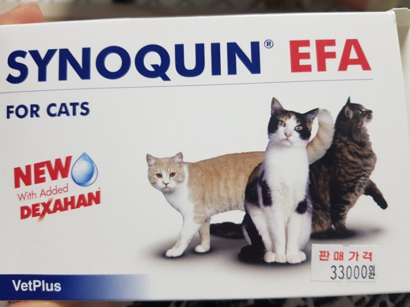 고양이 관절영양제 '사이노퀸'