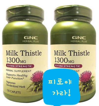  피로의 원인은 간때문? GNC 밀크씨슬 1300