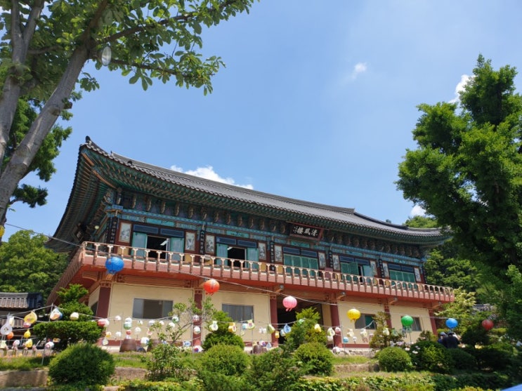  서울근교 나들이 드라이브코스 추천 : 남양주 봉선사 (한달 늦은 부처님오신날 행사)