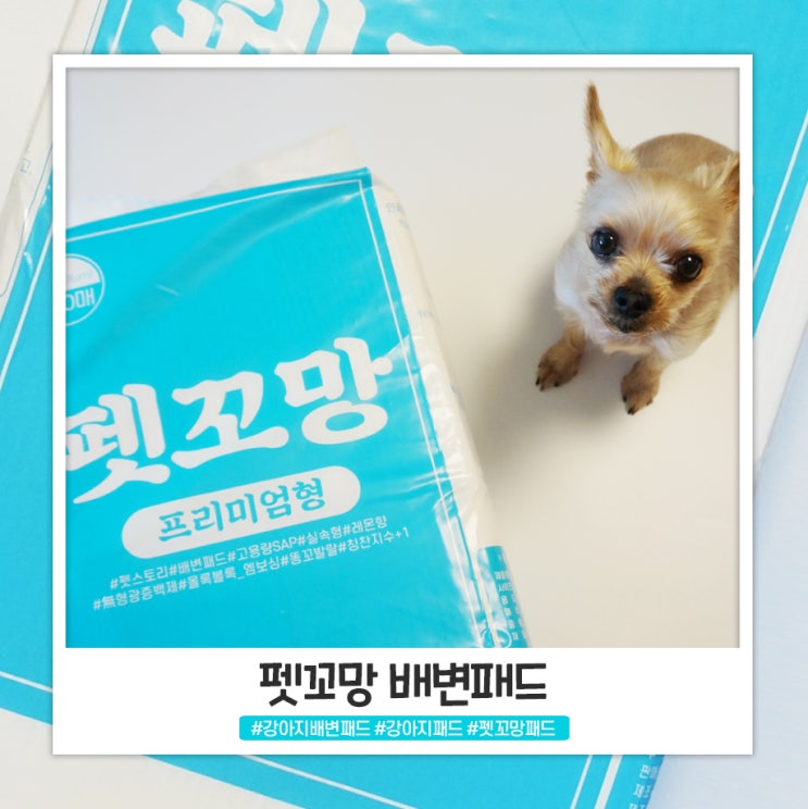 펫꼬망 강아지 배변패드 프리미엄형 펫꼬망 강아지 배변패드 프리미엄형