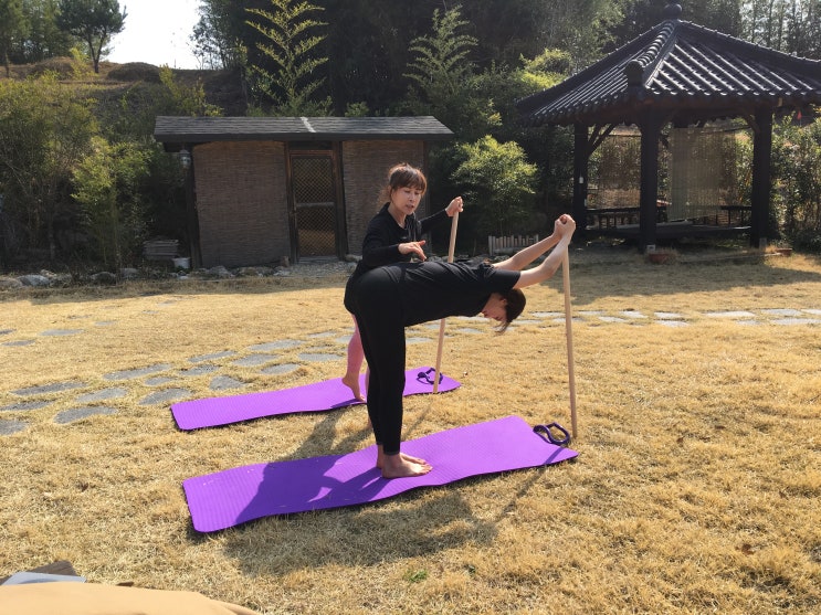  Bfit 협업 콜라보레이션 힐링트립