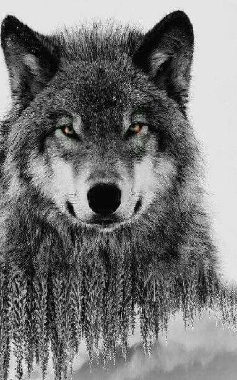 늑대타투, 거미타투, 생각하시고 계신 분들께 풍무역 김포타투 펄스타투에서 자세하게 풀어드립니다!. : 네이버 블로그, image size:800x1283