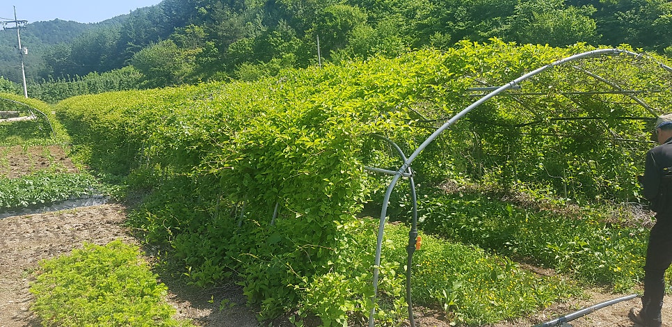 동무산 사진 2