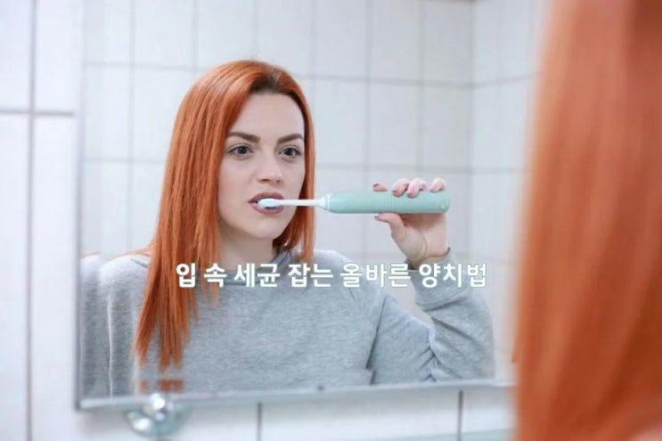  건강]입 속 세균 잡는 올바른 양치법
