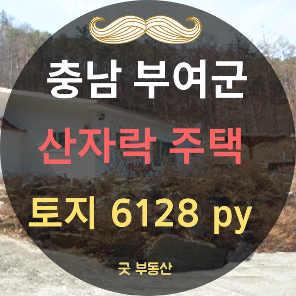  [충남 부여군 시골집매매] 부여군 산자락 주택/충남 부여군 산자락 전원주택 매매 토지 20257(6128)--매매26500만원