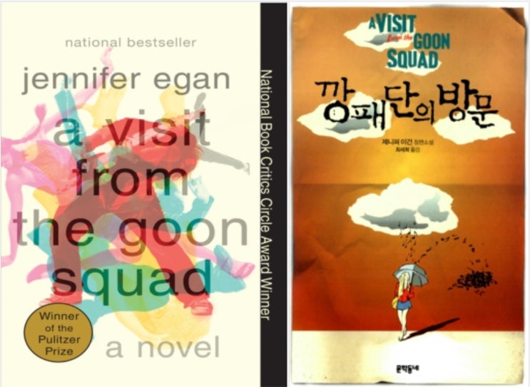 A Visit from the Goon Squad (서울도서관 eBook)