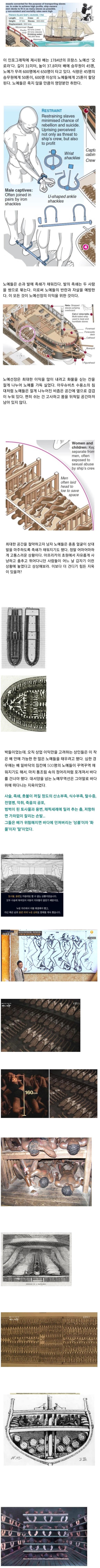  충격적인 유럽 열강들의 흑인 노예 수송 방식 [극혐주의]
