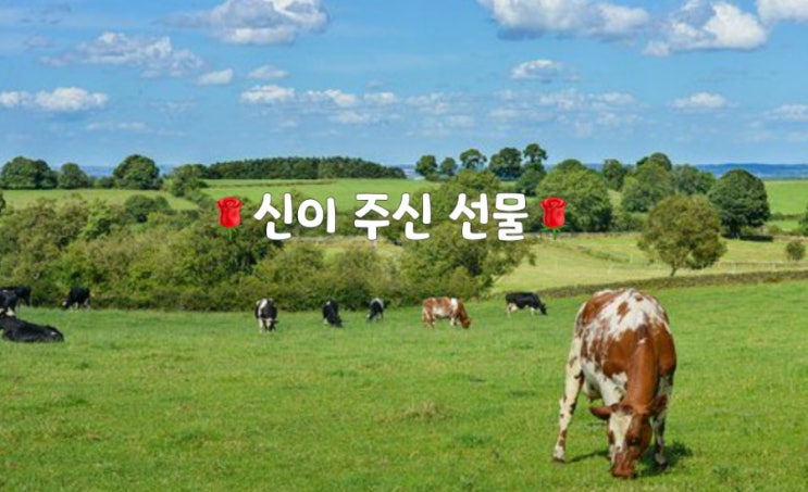  좋은글]신이 주신 선물은?