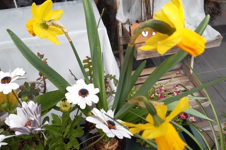  사랑의 편지 * 화를 다스리는 방법 / 황용필