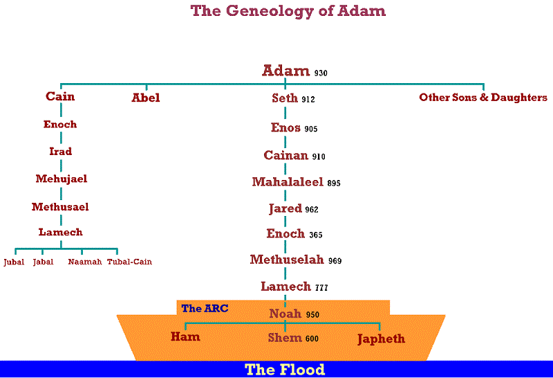 Adam And Eve To Noah Family Tree vrogue.co