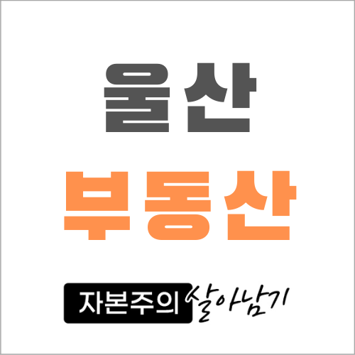 롯데캐슬 블루마리나 울산 부동산 재테크 매물 강력추천