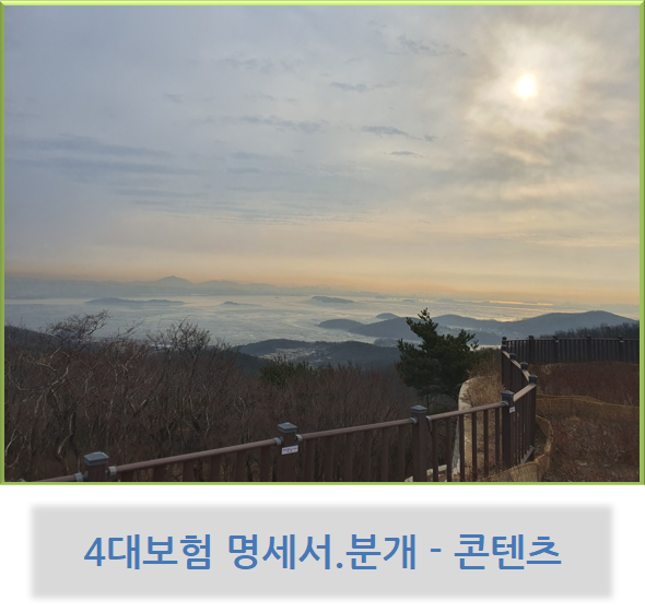  4대 보험 명세서 및 분개 - 콘텐츠