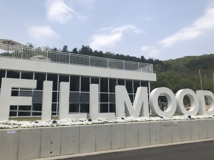  파주 마장호수 베이커리 카페 : 필무드