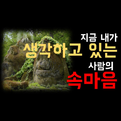  지금 내가 생각하고 있는 사람의 속마음, 나에대한  분당유명한타로 청담동마님